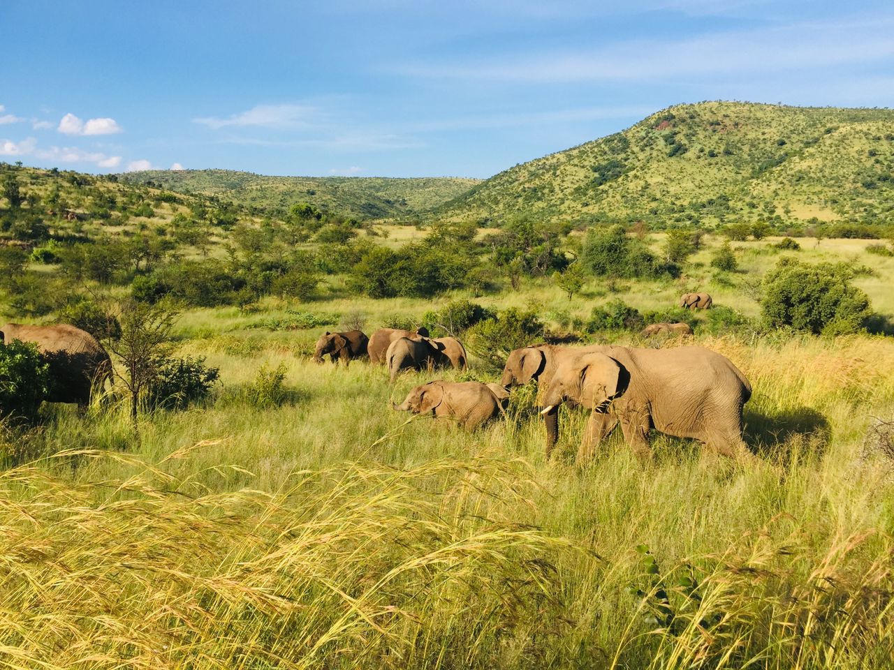 pilanesberg landscape